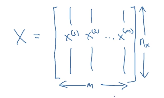 Training examples arranged as columns of X